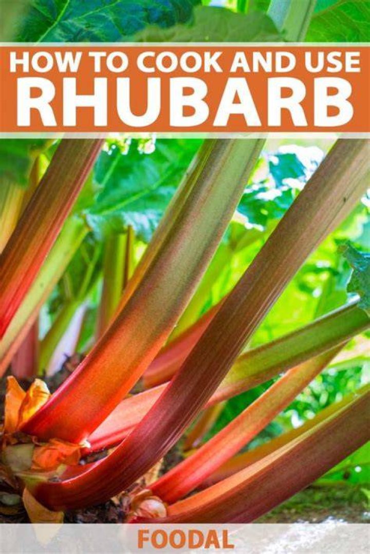 Is Wild rhubarb safe to eat?