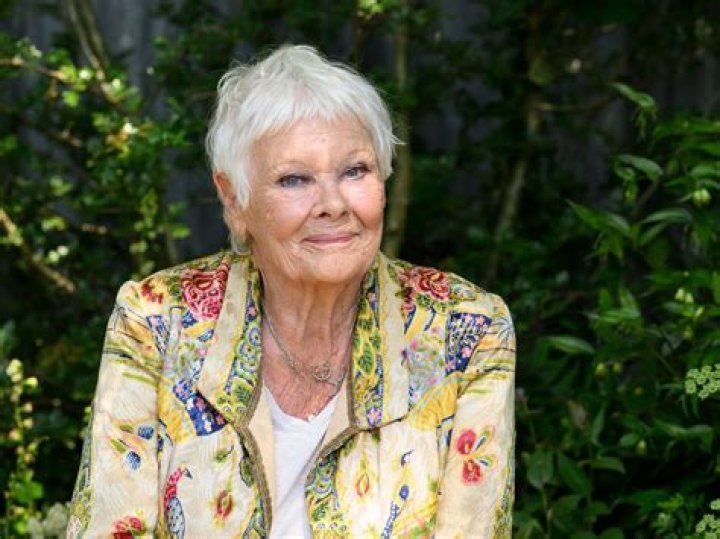 Judi Dench Bio (Wiki) 