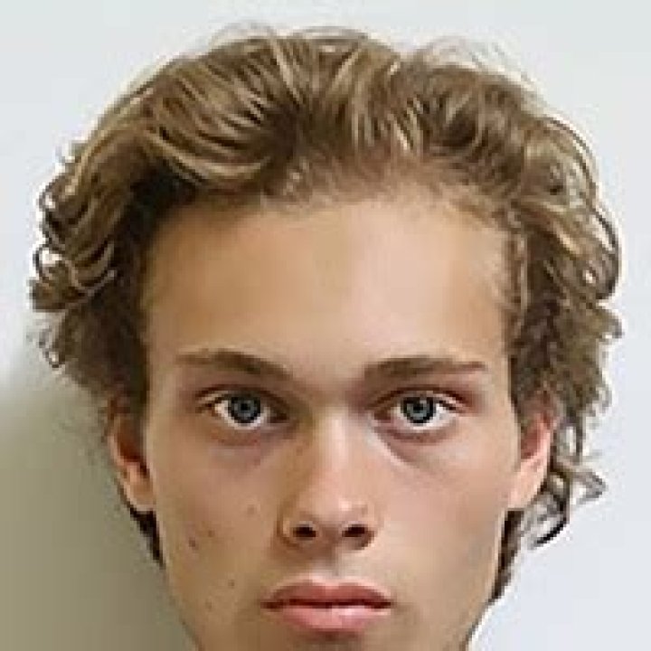 Jules Houplain - Age, Family, Bio