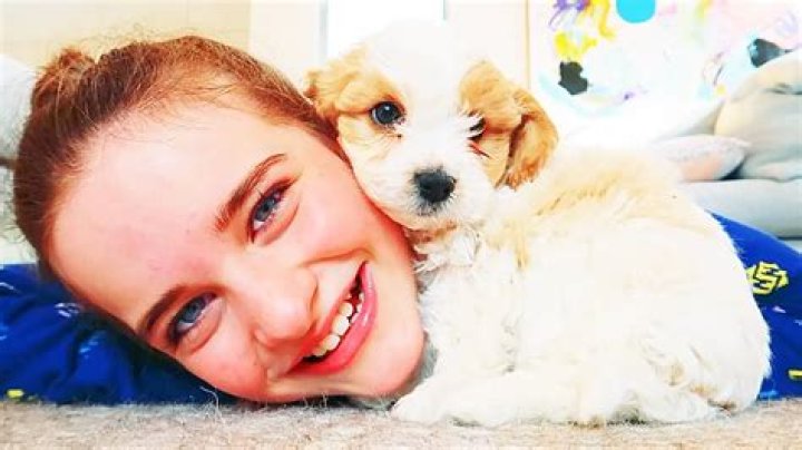 Justin Degryse Pets - Celebrity Pets
