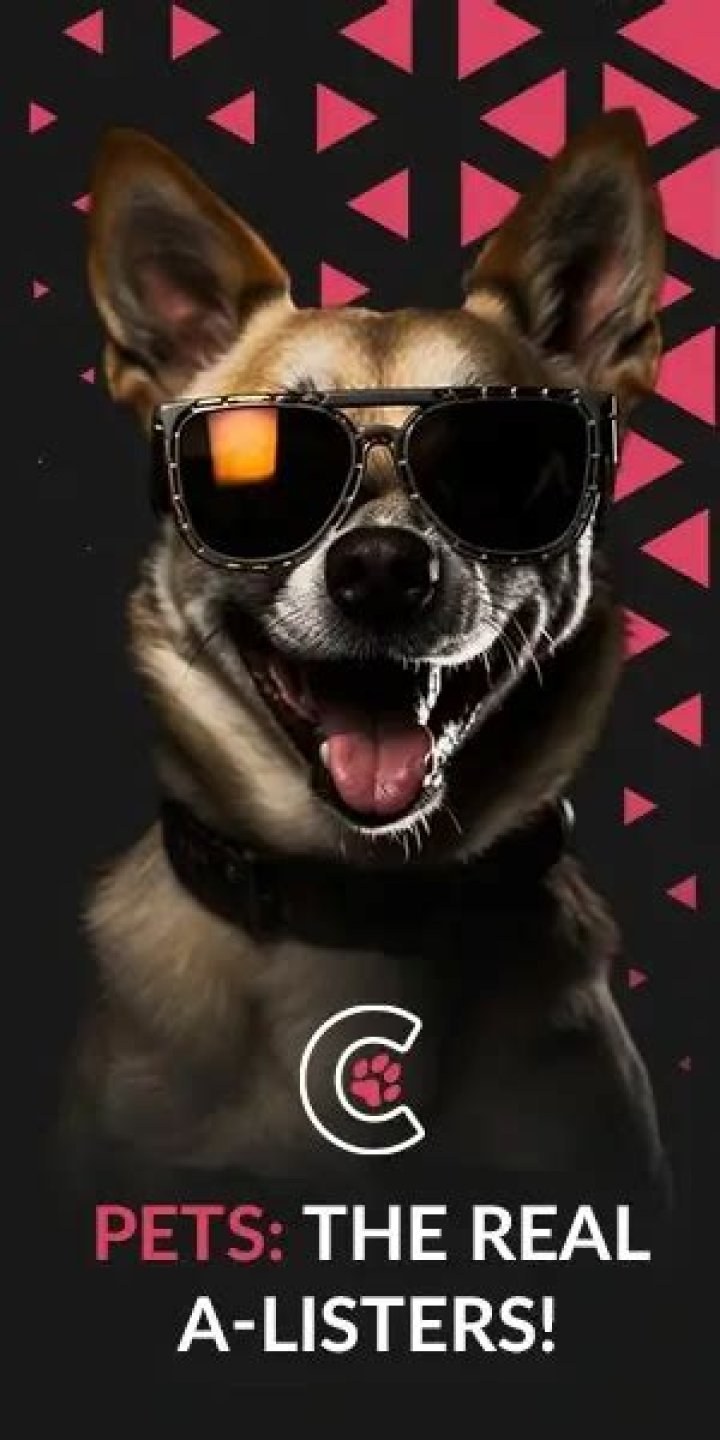 Justin Degryse Pets