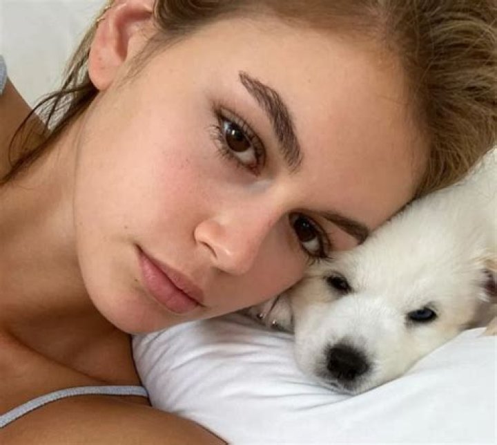Kaia Jordan Gerber Pets