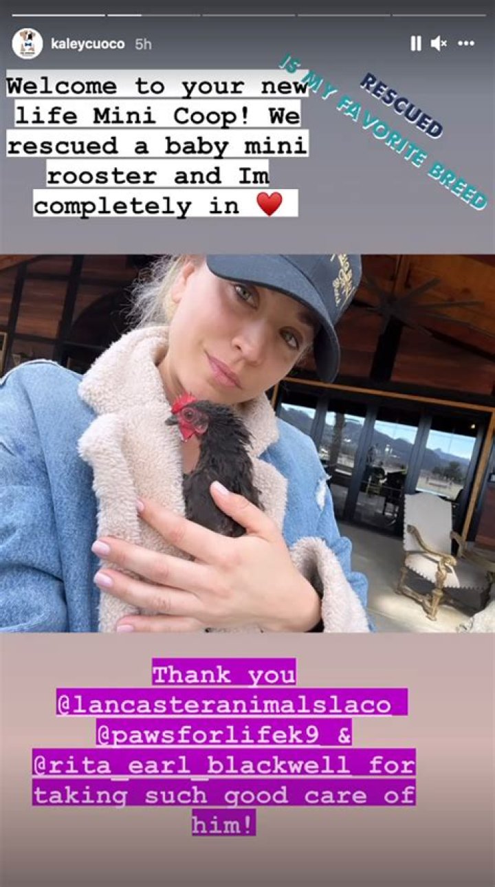 Kaley Cuoco adopted a baby mini rooster, will she regret it?