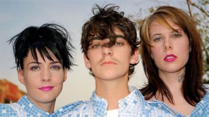 Le Tigre - Members, Ages, Trivia