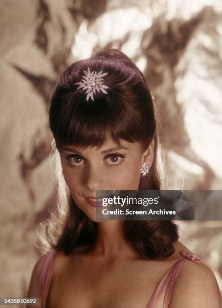 Lesley Ann Warren photo 3