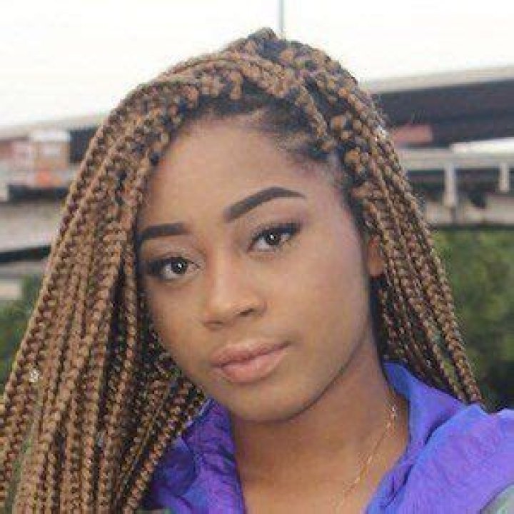 Lil Bri - Age, Family, Bio