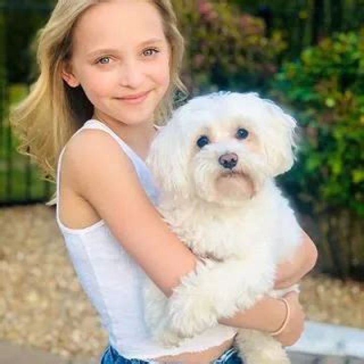Lilliana Ketchman Pets