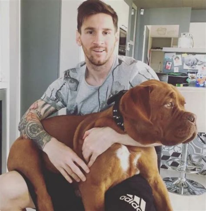 Lionel Messi Pets - Celebrity Pets