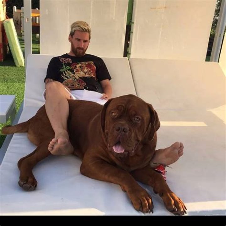 Lionel Messi Pets