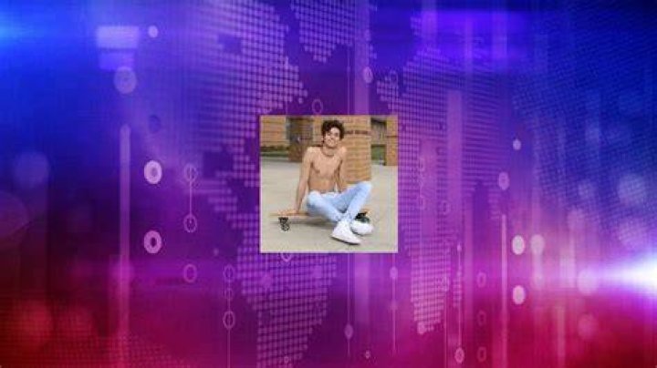 Marcus Dobre-Mofid's pet French Bulldog