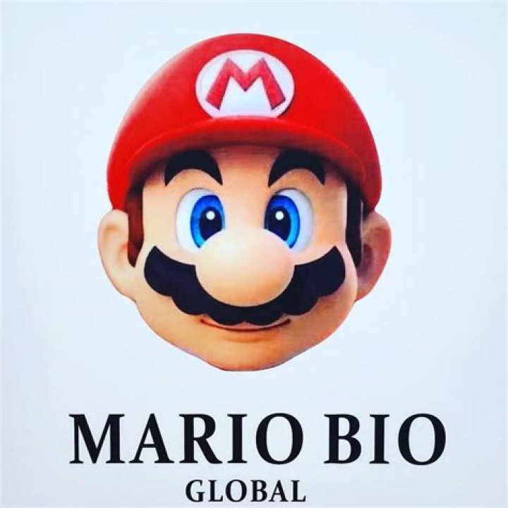 Mario Chalmers Bio (Wiki) 