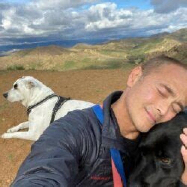 Mark Dacascos Pets - Celebrity Pets