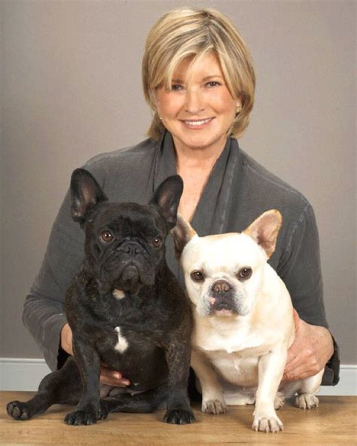 Martha Stewart Pets
