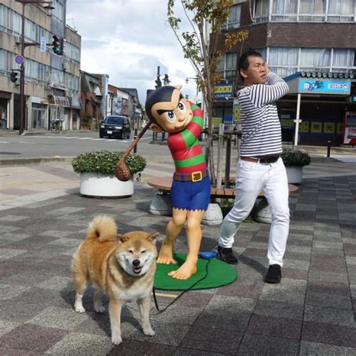 Marutaro shiba inu3