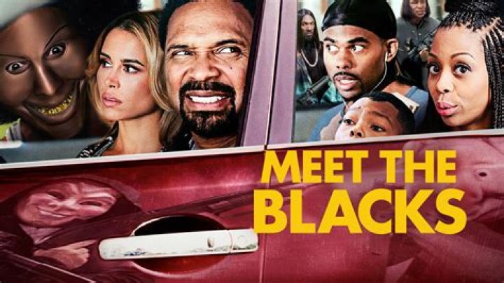 Meet the Blacks 2 on Netflix?