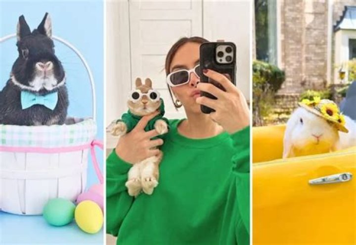 Moriah Elizabeth Pets - Celebrity Pets