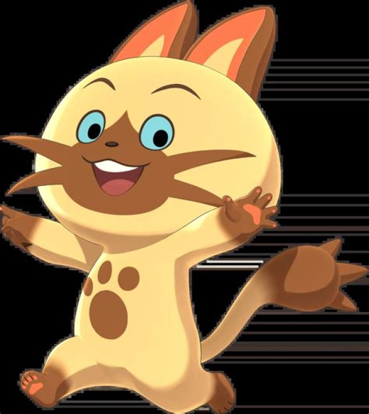 Navirou