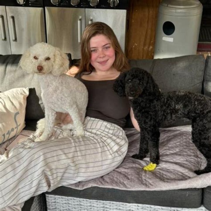 Pet Lover Danny With His Doggies. Pet Lover Danny With His Doggies.