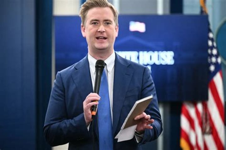 Peter Doocy photo 3