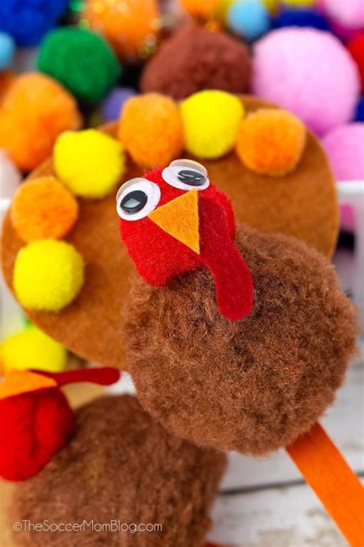 Pom Pom Turkey