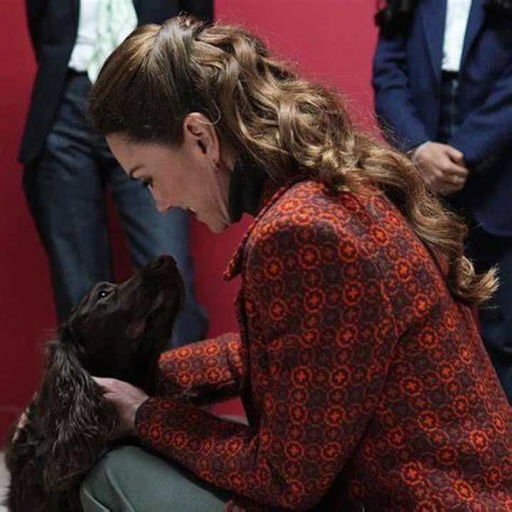 Princess Kate petting a dog
