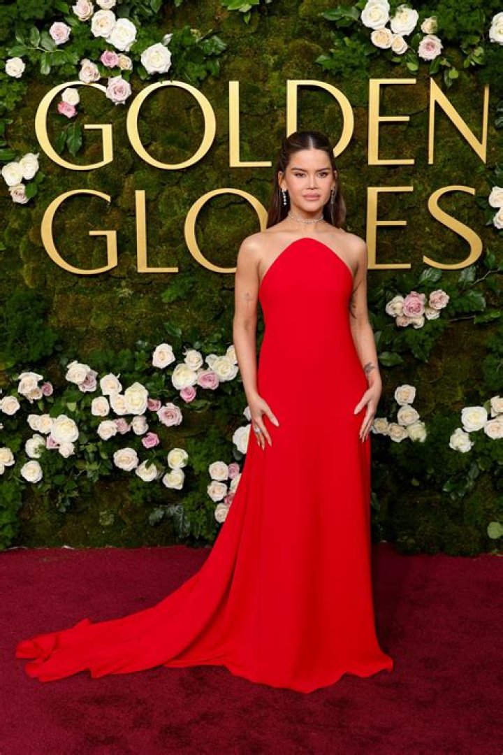 Red Carpet for the Golden Lion Award for Lifetime Achievement Ceremony during the Venice Film Festival