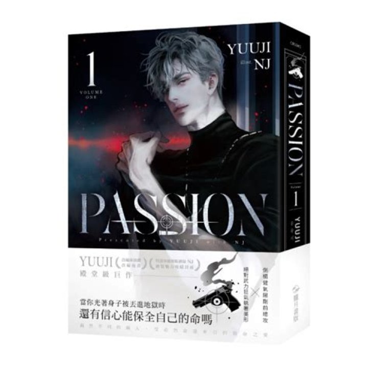 Romance Novel, Passion's Promise By Danielle Steel. Romance Novel, Passion's Promise By Danielle Steel.