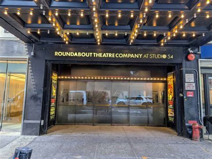 Roundabout Theatre Company's 2015 Spring Gala - Arrivals
