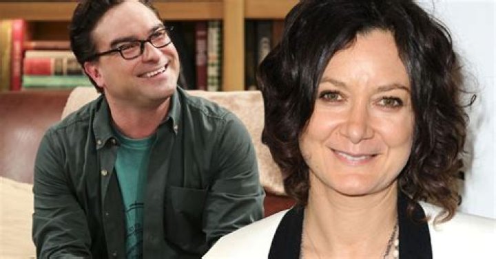 Sarah Gilbert and Johnny Galecki at the Emmy Award Ceremony