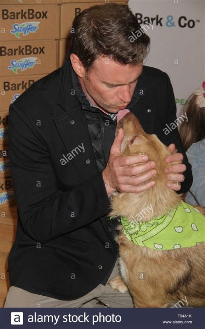Scott Foley joins Holiday Pet Bark Box Adoption