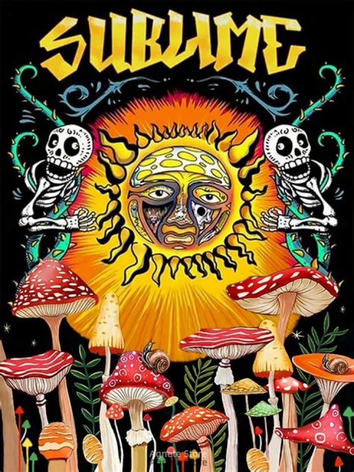 Sublime (Band) - Members, Ages, Trivia