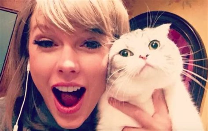 Taylor Swift Pets - Celebrity Pets