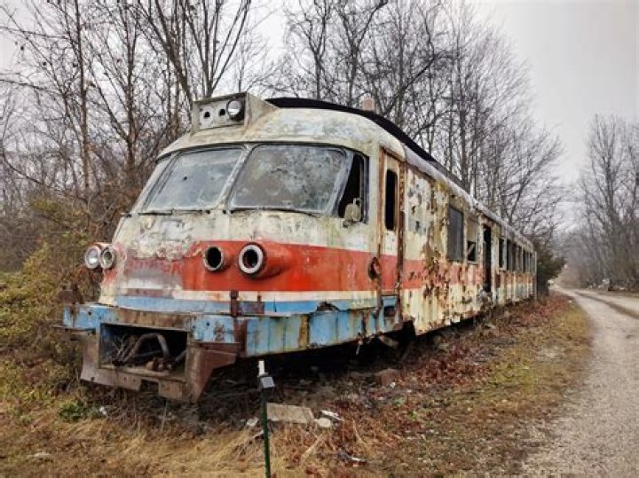 Viral dog abandoned trains for SPCA marathon 1