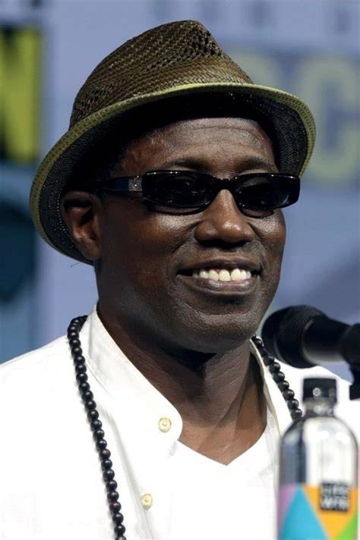Wesley Snipes Bio (Wiki) 