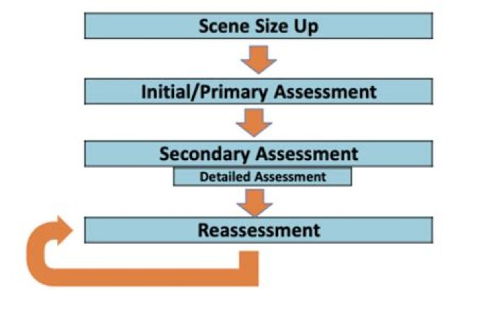 What are the components of a secondary assessment?