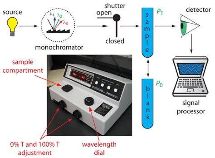 What are the main components of a spectrophotometer?