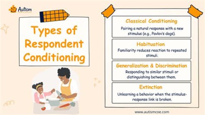 What are two other names for respondent conditioning?