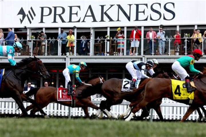 What can you bring into Preakness infield?