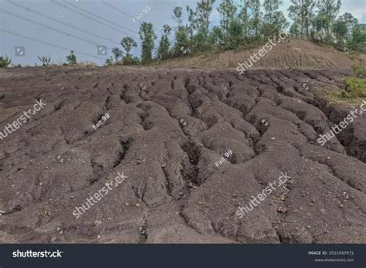 What do you mean by rill erosion?