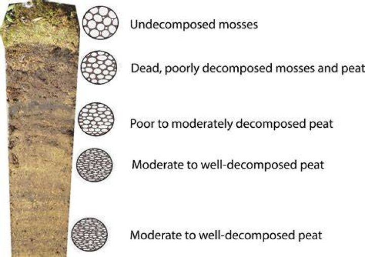 What does a peat digger mean?