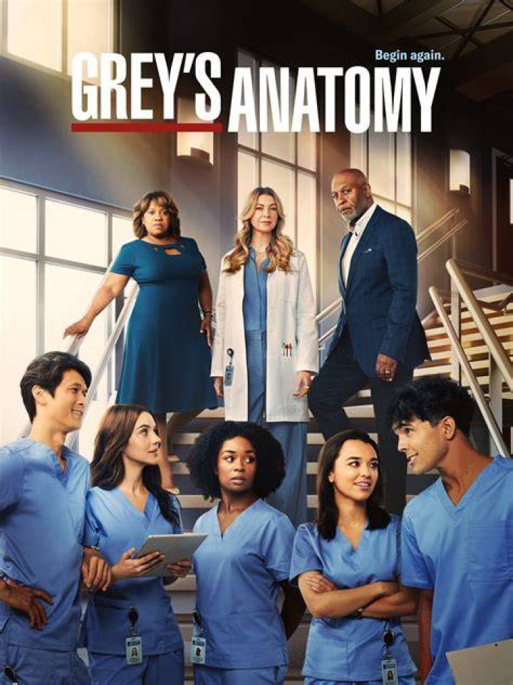 What does the pit mean in GREY anatomy?