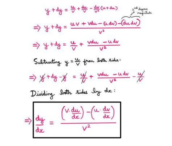 What is a developmental quotient?