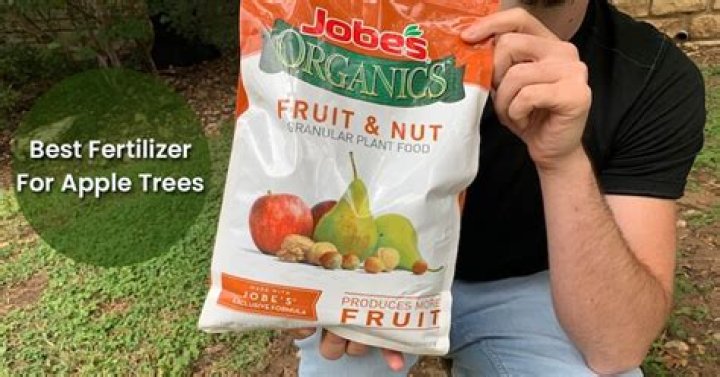 What is the best fertilizer for pineapples?