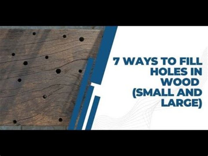 What makes small holes in wood?