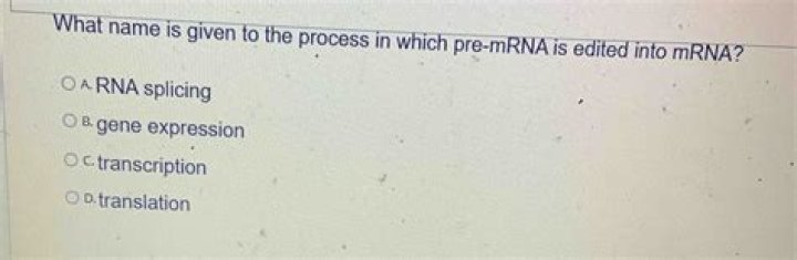 What name is given to the process in which pre mRNA?