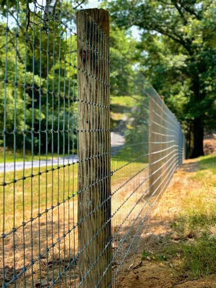 What’s better woven or welded wire fencing?