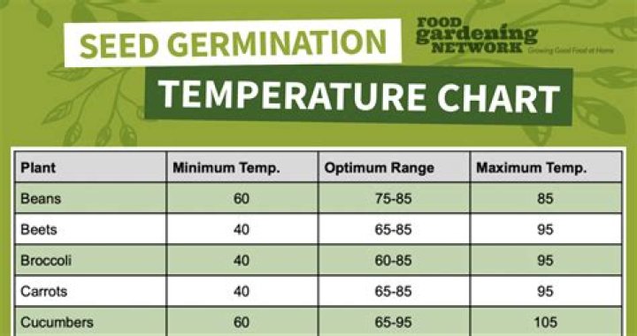 What temperature does ryegrass germinate?