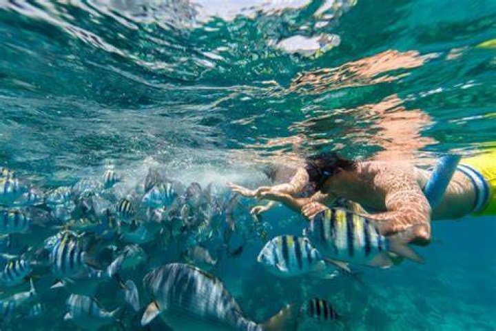 When Is the Best Time to Visit Bermuda?