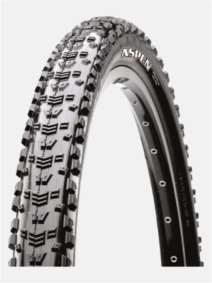 Who Makes Aspen Tires?