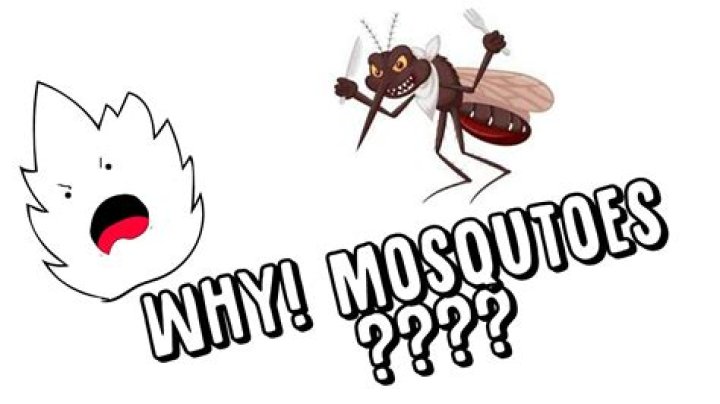 Why did God create mosquitoes?